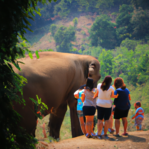 משפחה צופה בפילים בפארק חיות בר בצ'אנג מאי